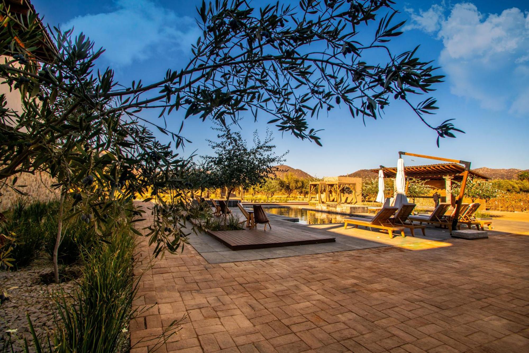 Hotel Flores De Sal-Valle De Guadalupe Bagian luar foto